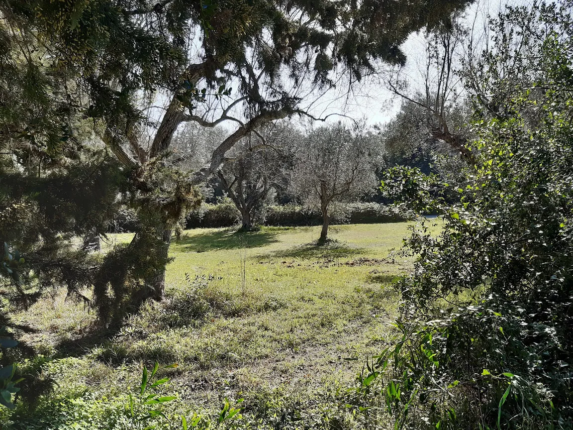 Riserva Naturale Le Cesine
