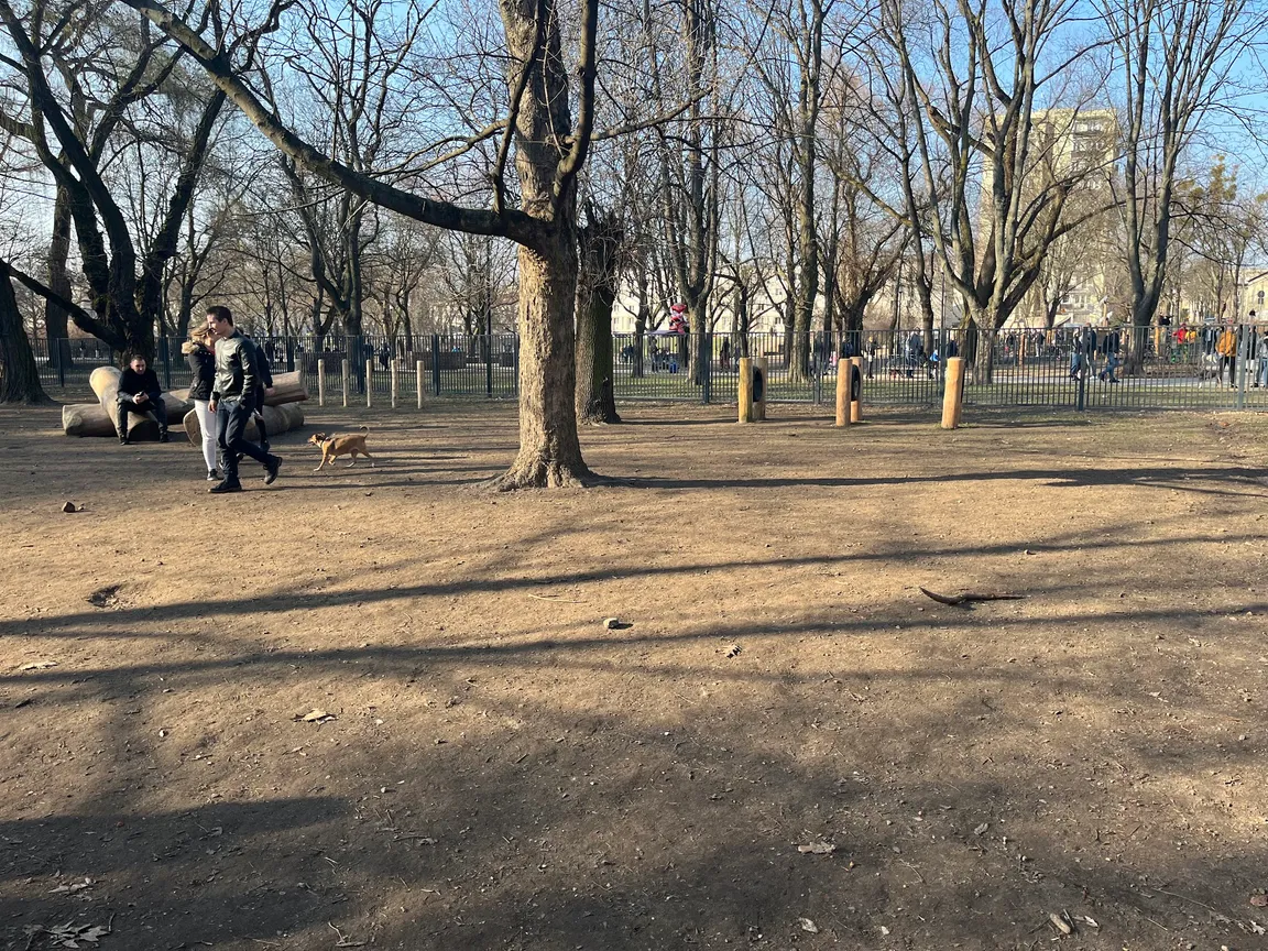 Wybieg dla psów