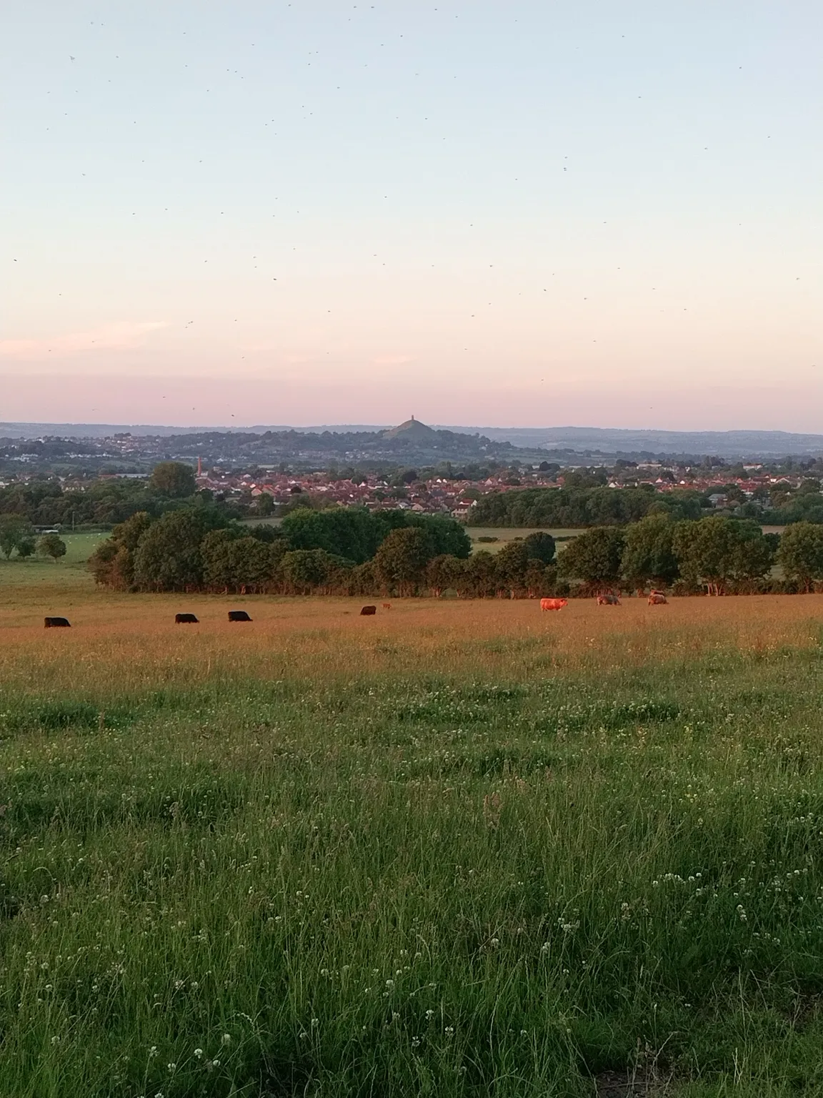 National Trust - Walton Hill