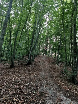 Wieża nabieżnikowa