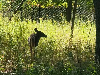 West Ridge Nature Park