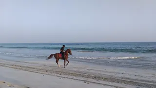 Dahariz Beach - Khor End