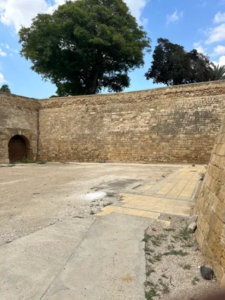Dog Park