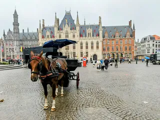 De Burg
