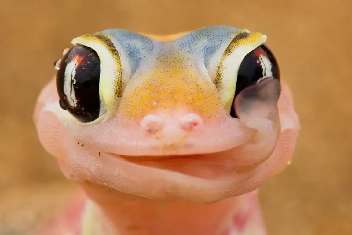 ZooPasja