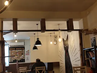 Kocie Cafe 14+