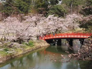 Hirosaki Park