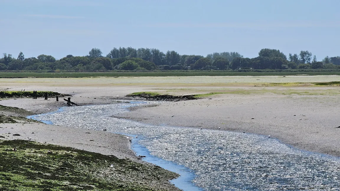 Pagham Harbour Walk