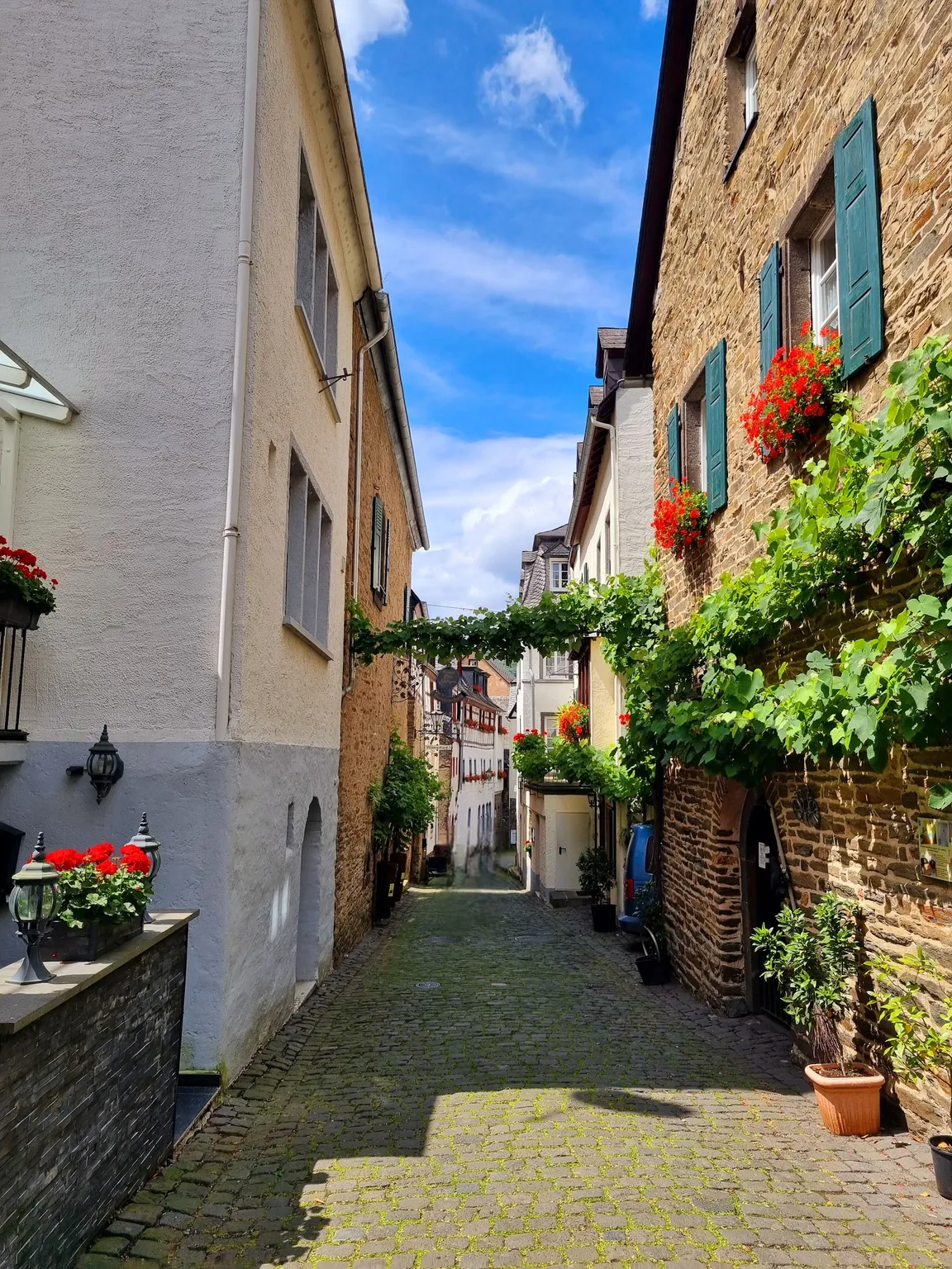Beilstein/Mosel