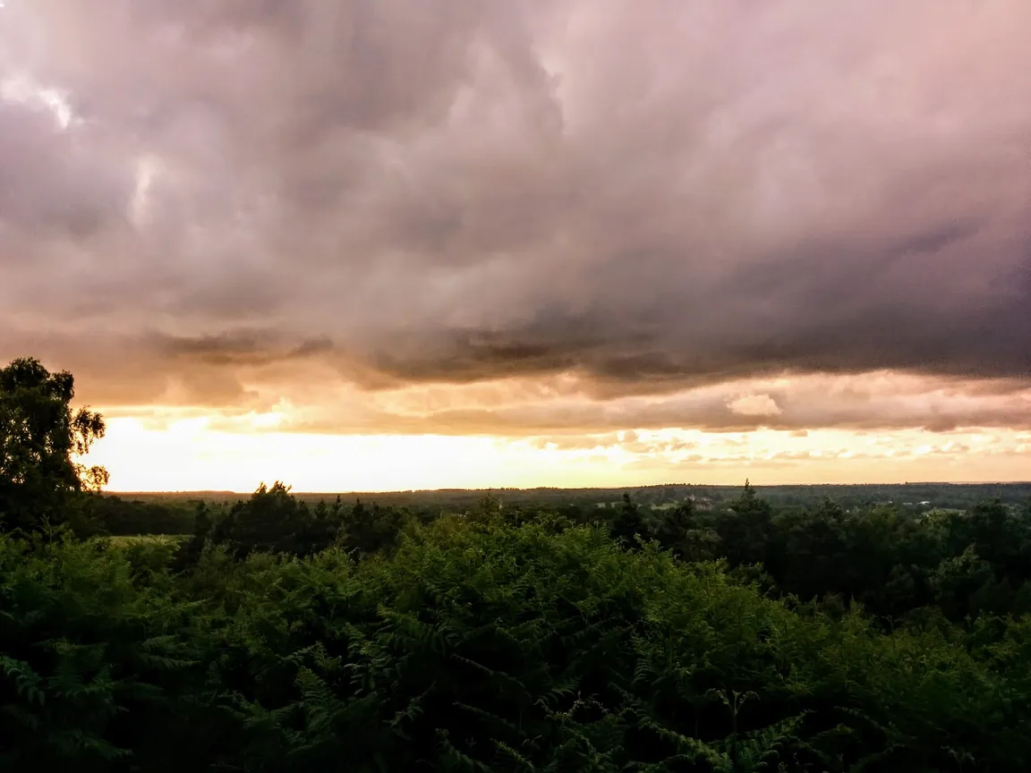 High Curley Hill Summit