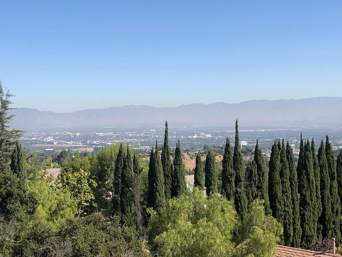 The Groves Overlook