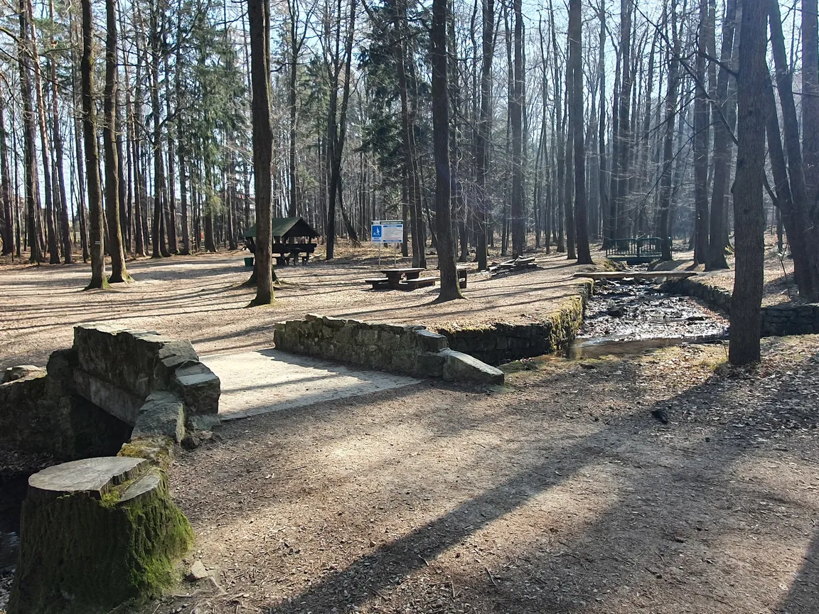 Park Cygański Las w Bielsku-Białej