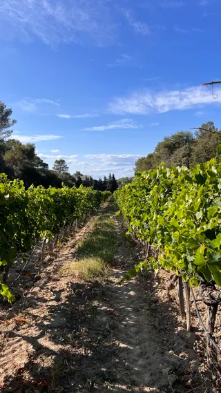 Domaine du Grand Fontanille