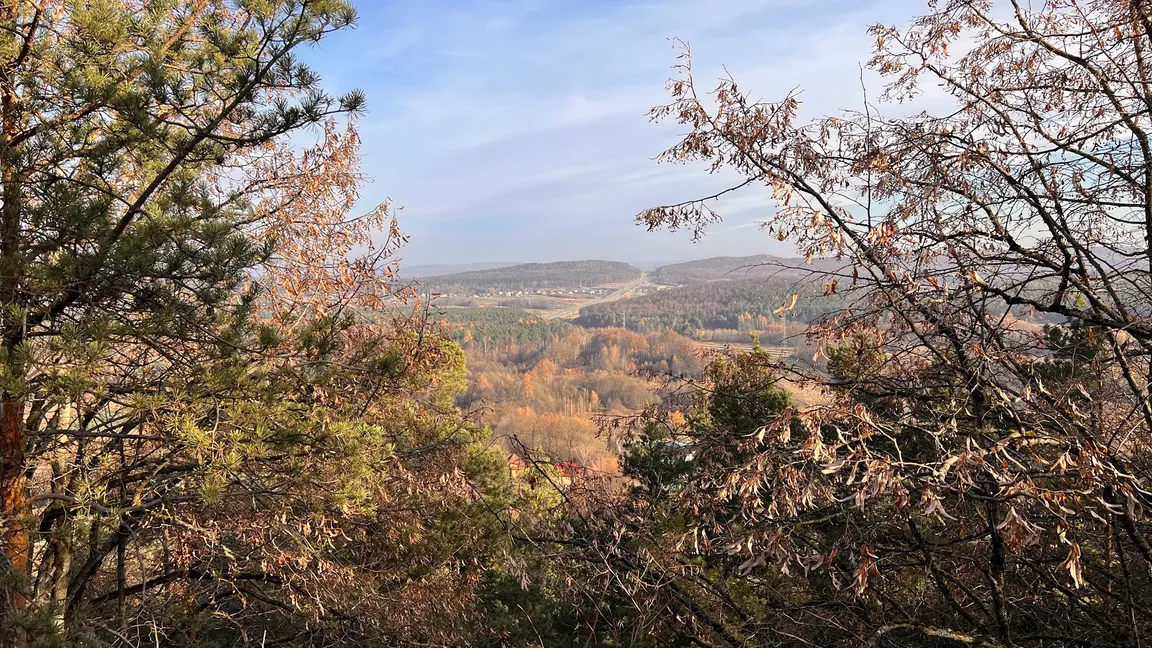 Rezerwat przyrody Góra Zelejowa