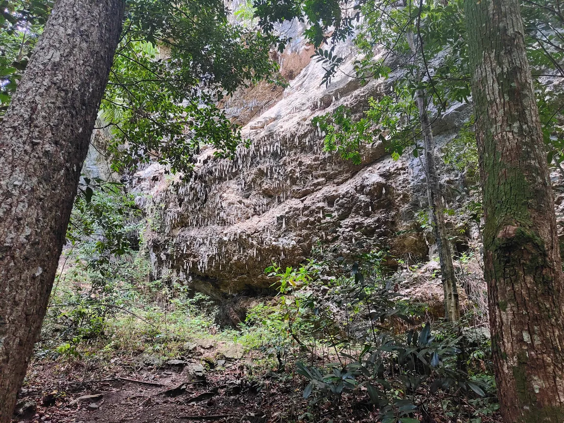El Cubano Natural Park