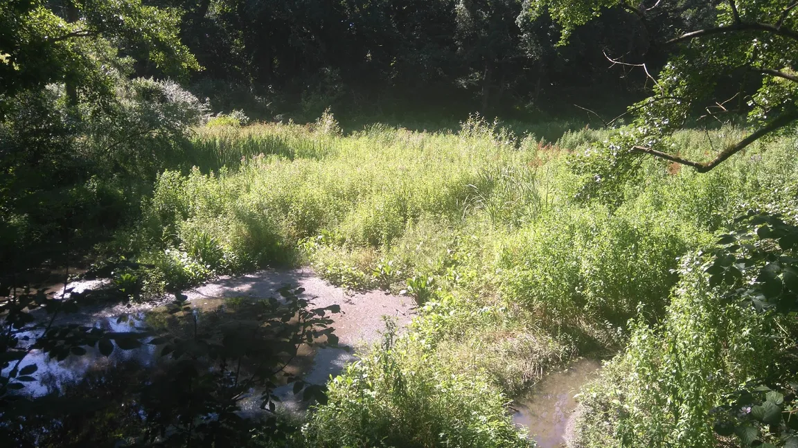 Old Roar Gill