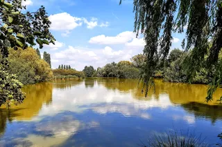 Friedens Park