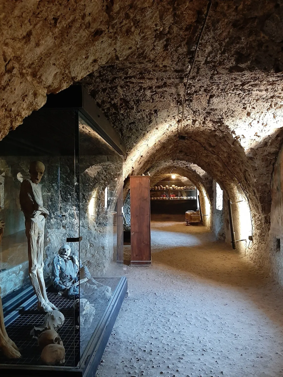 Crypt - Museum of the Mummies