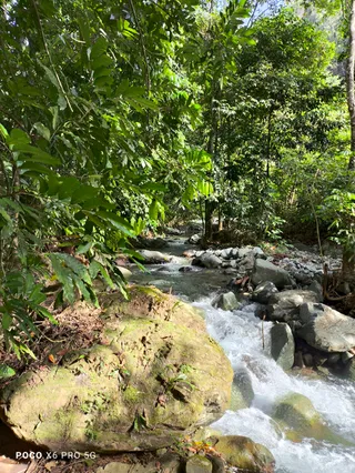 Charco cabaña del bosque rd