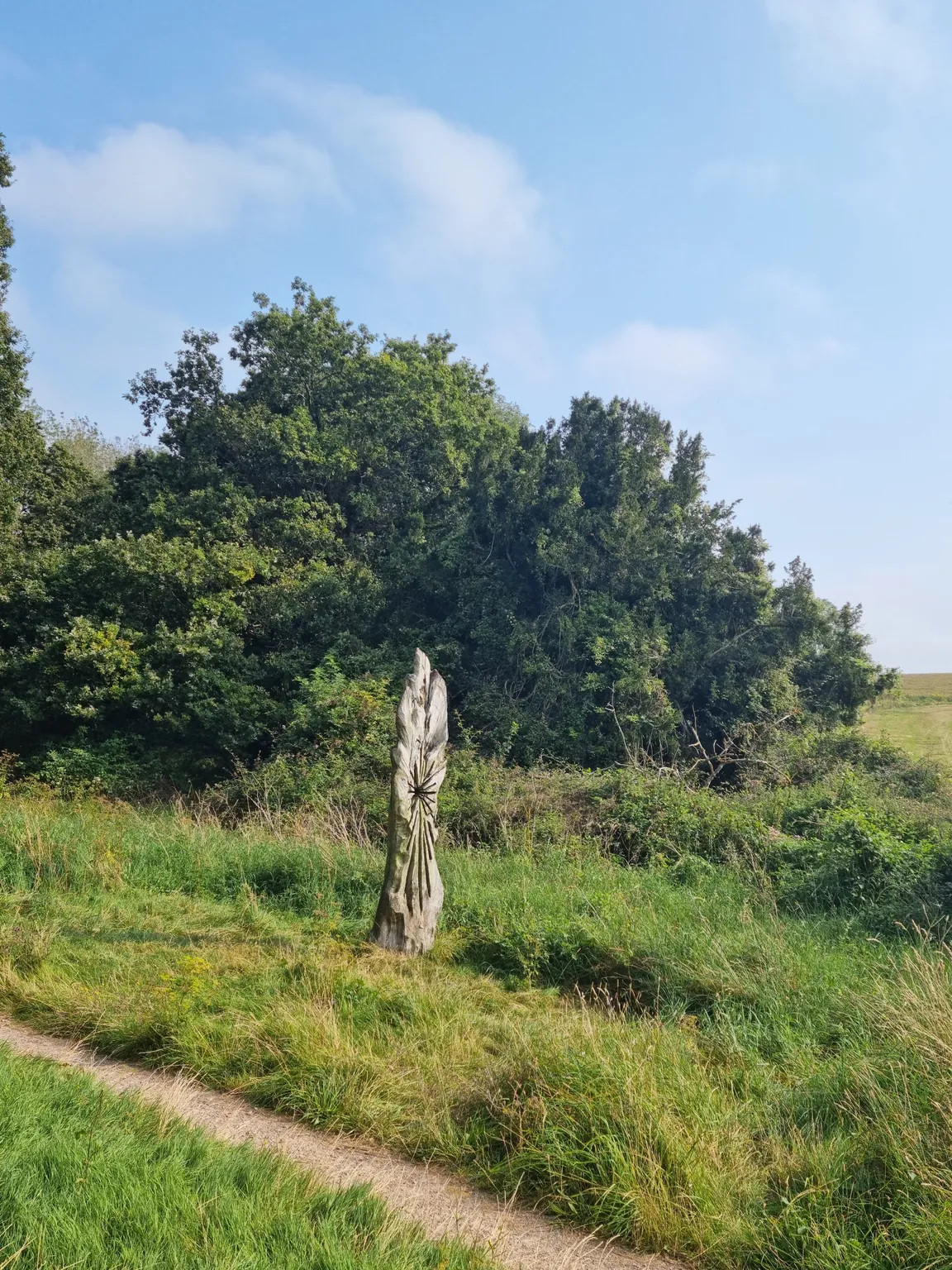 Kingley Vale