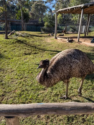 Western Sydney Parklands
