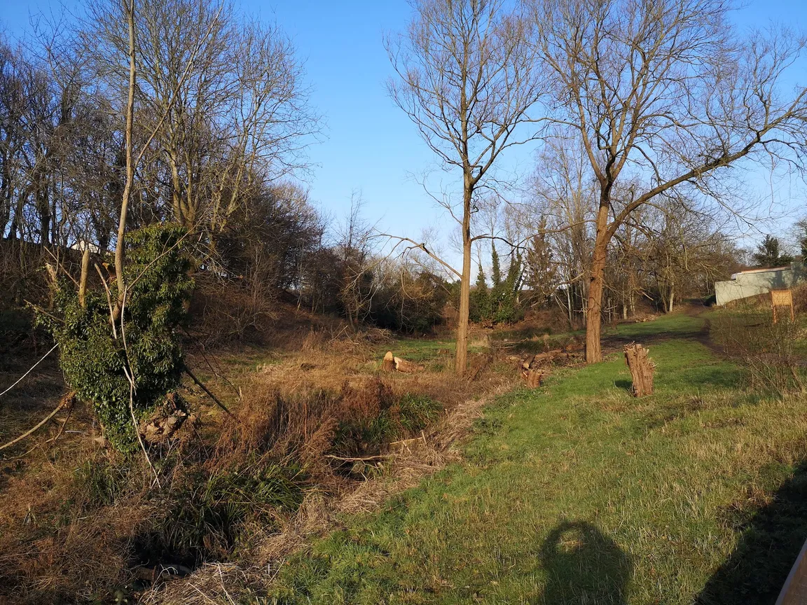 Lye Valley path