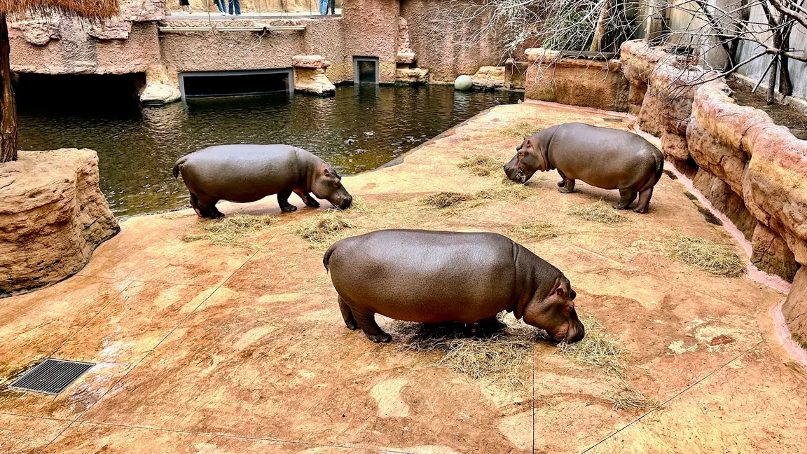 ZOO Wrocław sp.z o.o.