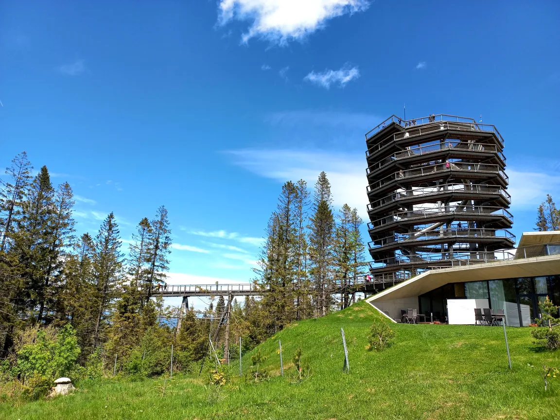 Treetop Walk Bachledka