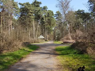 Highest natural point in Mannheim