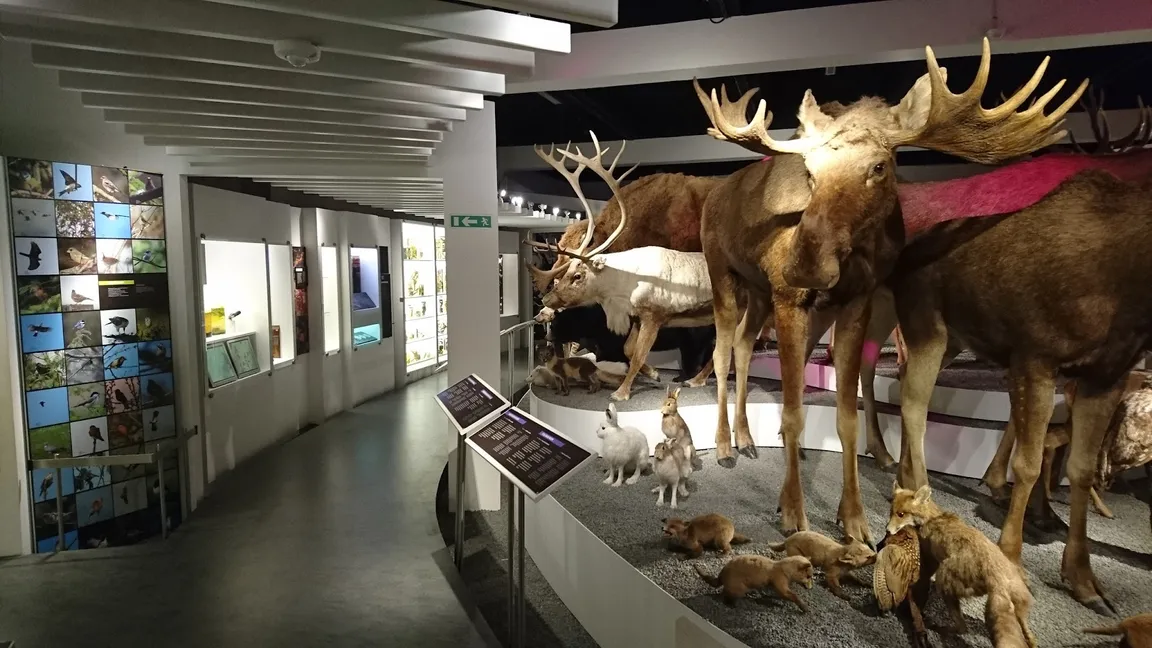 Naturhistorisk Museum Aarhus