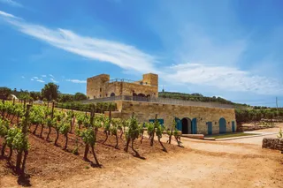 Ta’ Betta Wine Estates