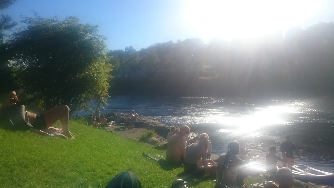 Gåsaparken