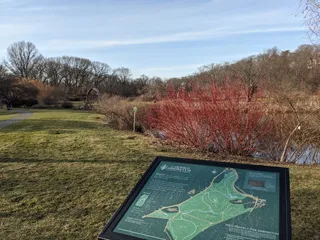 Arnold Arboretum of Harvard University