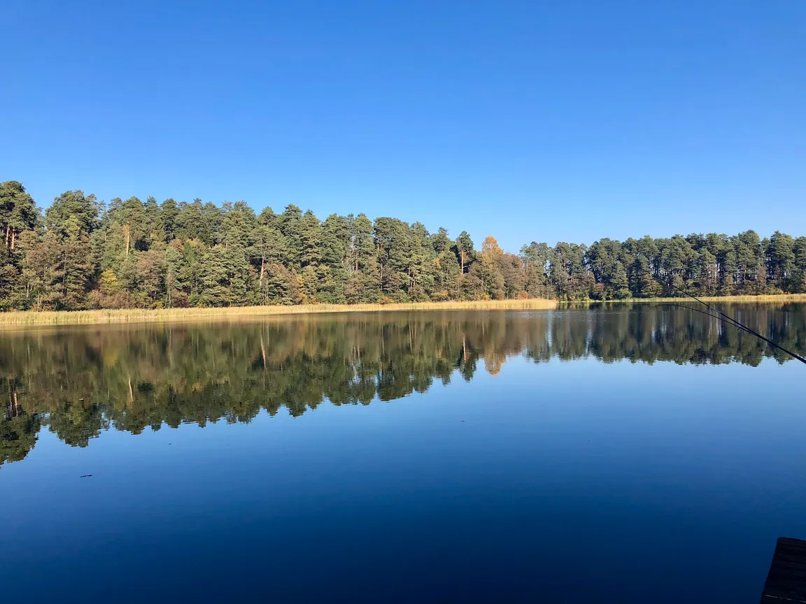 Amber Bay- Camper/Namiot/Przystań/Bankiet/Jezioro Augustów