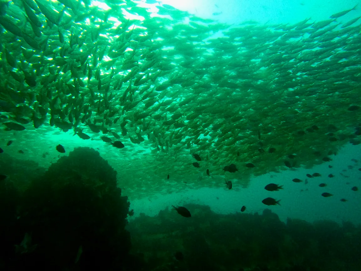 Chumphon Pinnacle