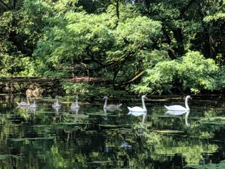 Van Cortlandt Park Golf Course
