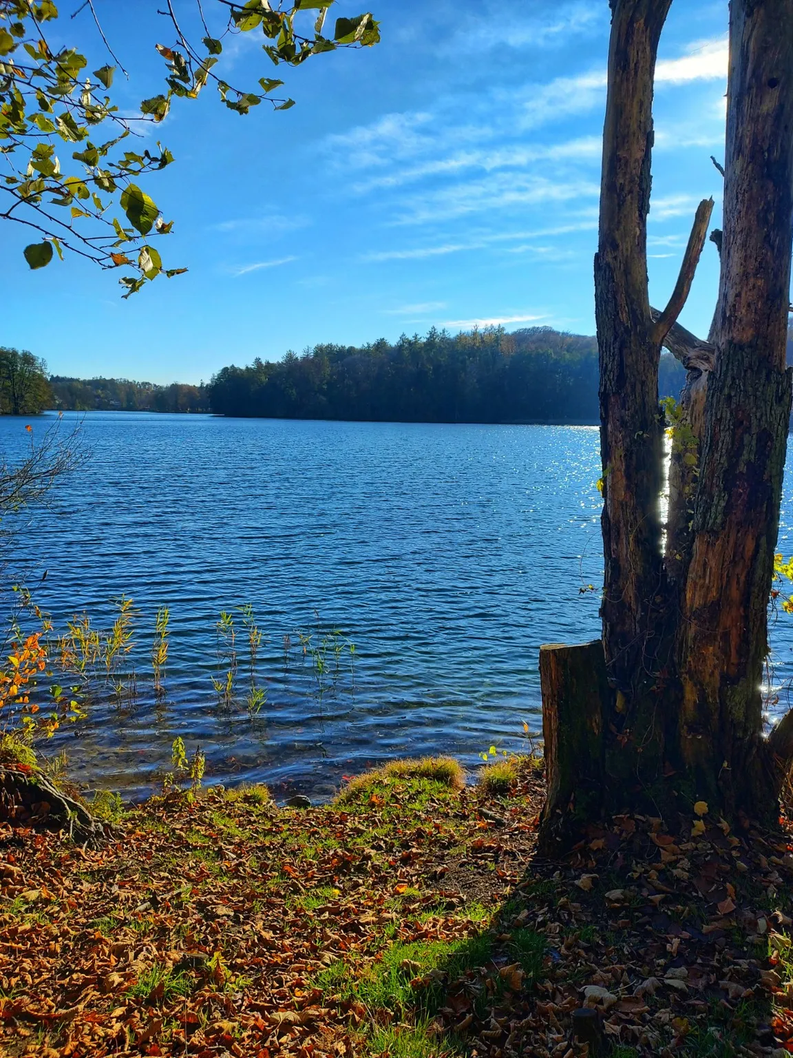 Łagowsko-Sulęciński Park Krajobrazowy