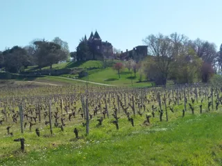 Les 33Km500 Du LIBOURNAIS