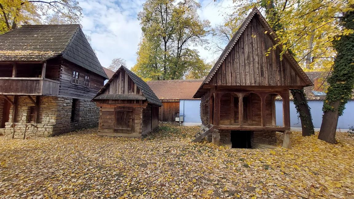 Narodowe Muzeum Wsi