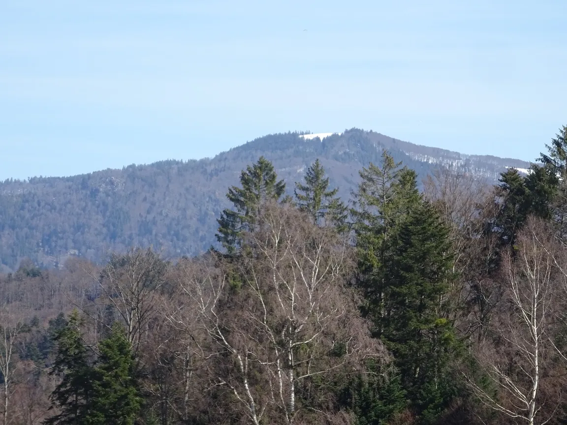 Streckereck