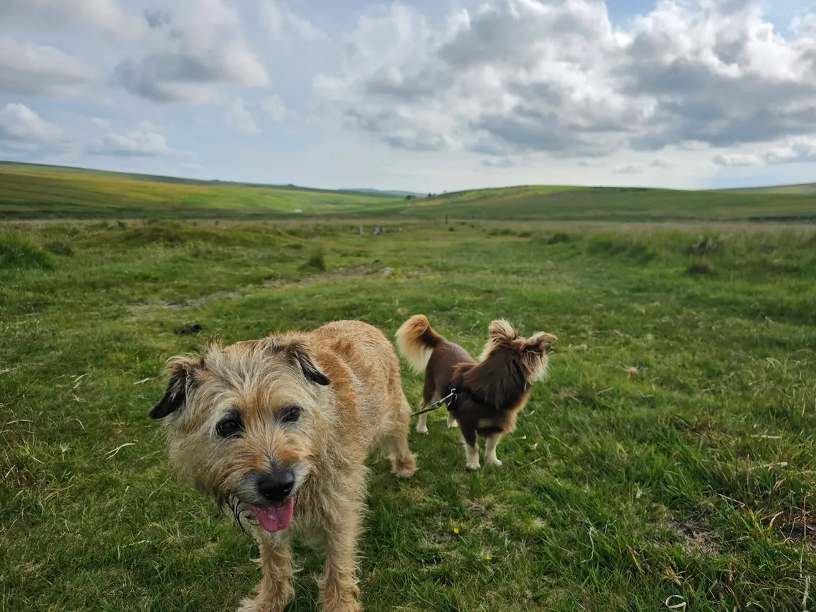 Drizzlecombe