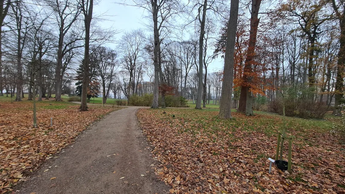 Landschaftspark Raben Steinfeld