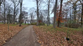 Landschaftspark Raben Steinfeld