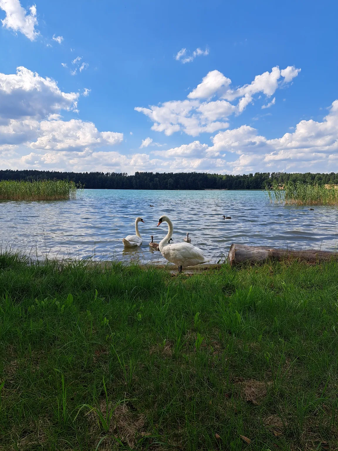 DługaPolanka - CampSite