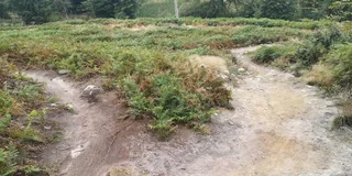 The White Track - Bike Park