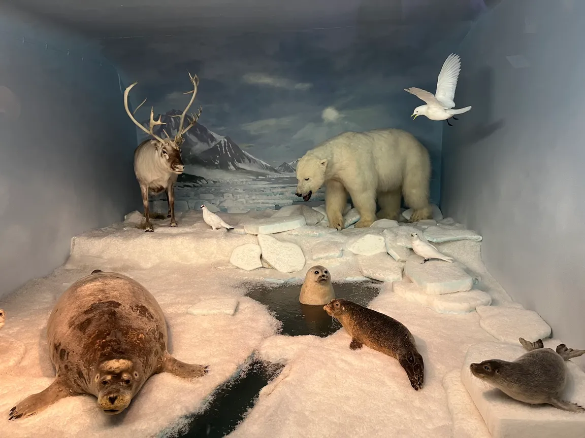 Naturhistorisk museum