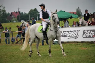 Stadnina Koni Łopuszna