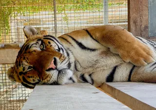 Wildlife Park Malta