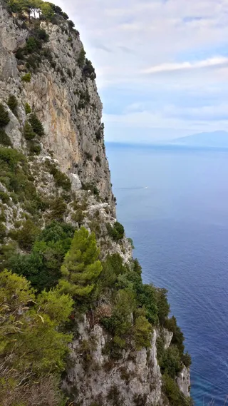 Tiberius' Leap