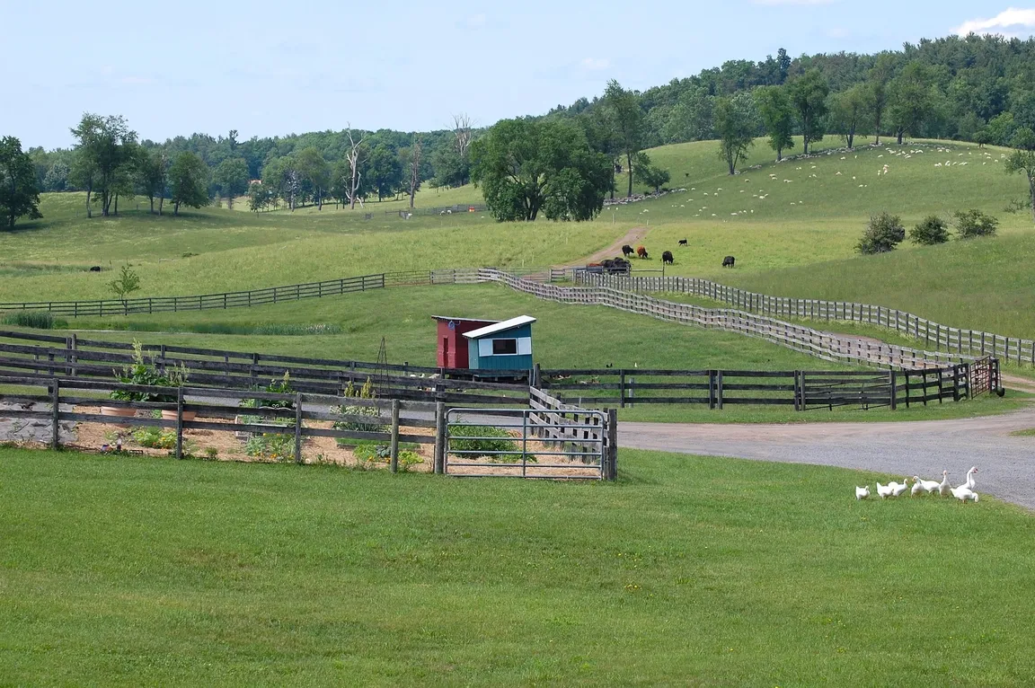 Kinderhook Farm